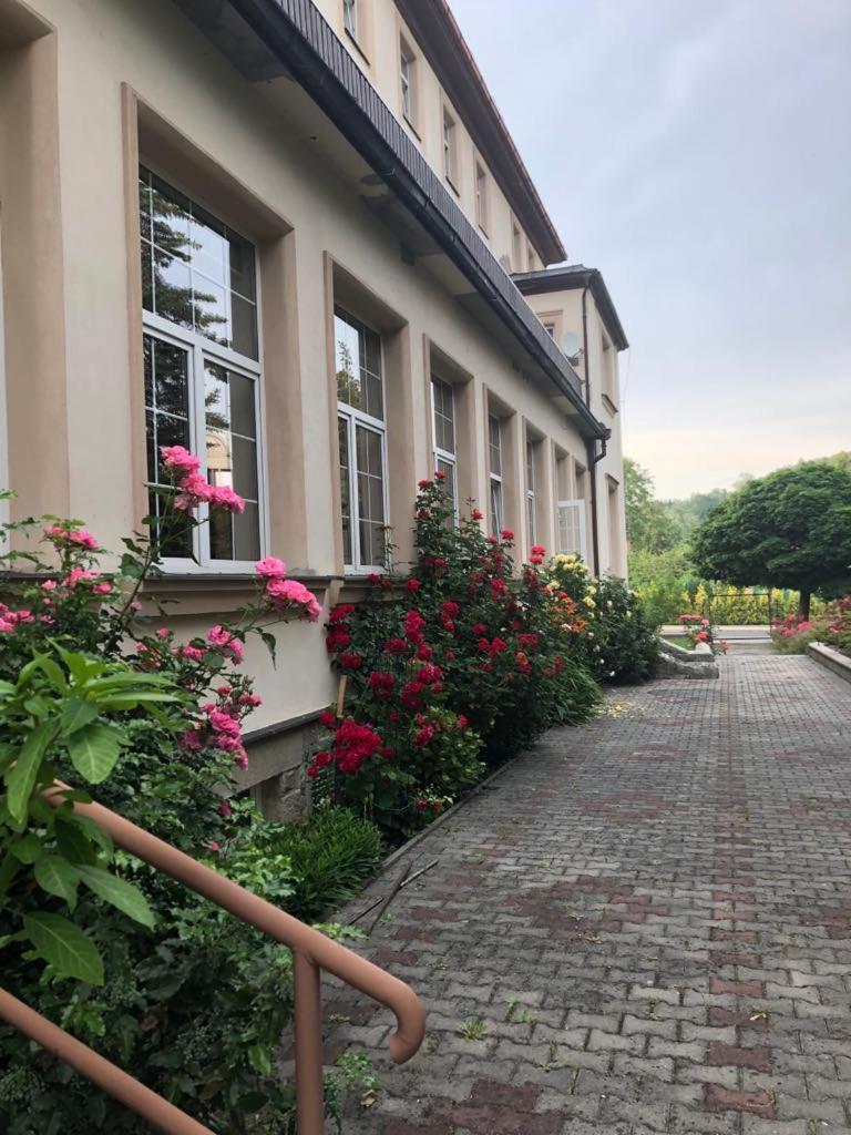Grandhotel Novy Bor Exterior photo